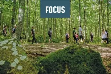 Bosco e salute: la terapia forestale